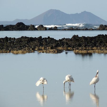 Casa Ana Y El Mar - Para Enamorados Del Mar - Lanzarote Teguise  Luaran gambar